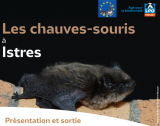 Les chauves-souris à Istres_Istres
