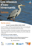 Les oiseaux d'eau hivernants à Istres_Istres