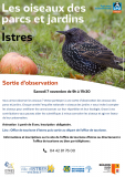 Les oiseaux des parcs et jardins à Istres_Istres