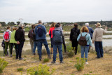 Éco-balade : Découverte des salins de Rassuen_Istres