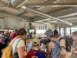 Tasting and Guided Tour at Moulin Leydier_Istres