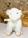 img-1463-230949