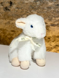 img-1464-230950