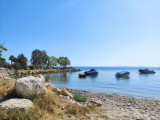 img-20220705-104619-205511