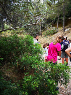 balade_botaniquet_geologique_reise_trip_tour_juillet_2020_10.jpg