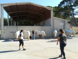 Matinée balade à cheval avec le Deven_Istres - © OT Istres Matinée balade à cheval avec le Deven_Istres