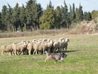 13EV034048_1_WEB.jpg 13EV034048_1_WEB.jpg