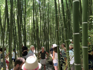 visite_bambouseraie_et_foin_de_la_crau_aout_2019_7.jpg visite_bambouseraie_et_foin_de_la_crau_aout_2019_7.jpg