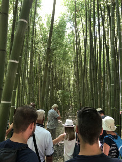 visite_bambouseraie_et_foin_de_la_crau_aout_2019_8.jpg visite_bambouseraie_et_foin_de_la_crau_aout_2019_8.jpg