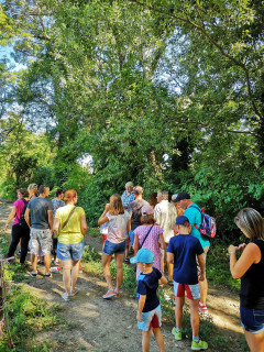visite_de_la_bambouseraie_sulauze_ete_2018_club_tourisme_18.jpg visite_de_la_bambouseraie_sulauze_ete_2018_club_tourisme_18.jpg