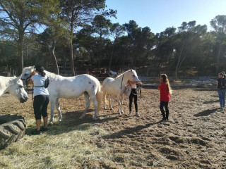 Paseo a caballo matinal con Deven_Istres - © OT Istres Paseo a caballo matinal con Deven_Istres