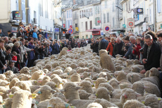 fete_des_bergers_4.jpg - © Ville d'Istres fete_des_bergers_4.jpg