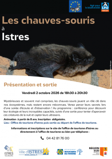 Les chauves-souris à Istres_Istres