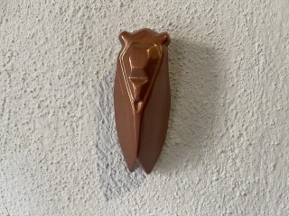 cigale-sicard-10-cm-1-195541