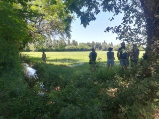irrigation-foin-de-crau-mas-de-suffren-club-juin-2022-18-205254