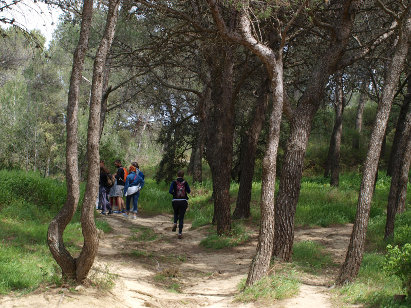 randonnee_nature_2017_ot_istres_3.jpg