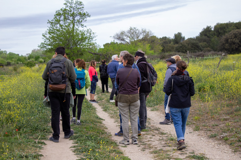 Rando : De Rassuen à la Chênaie Remarquable_Istres