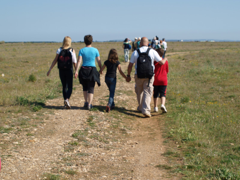 Éco-balade naturaliste dans la plaine de la Crau_Istres