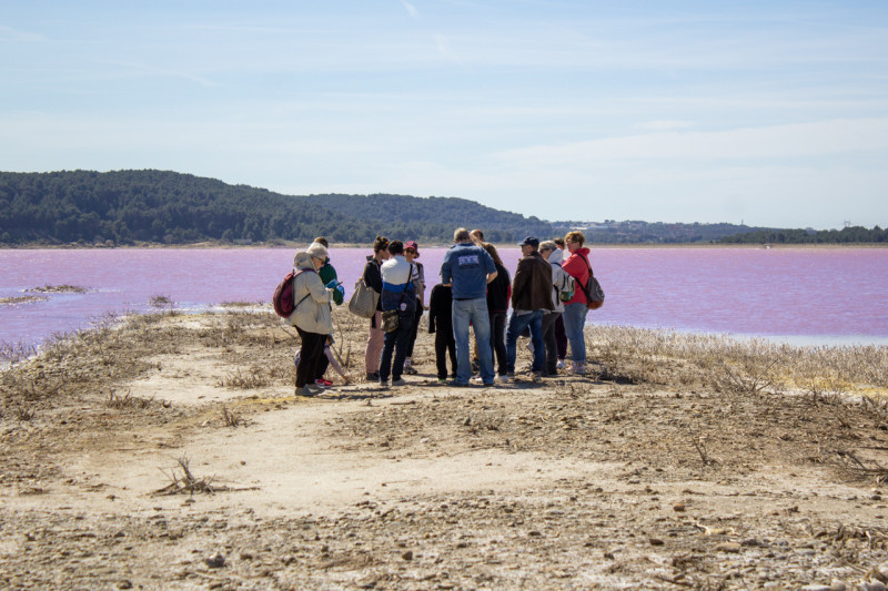 Guided discovery of the Lavalduc pond, history and evolution_Istres