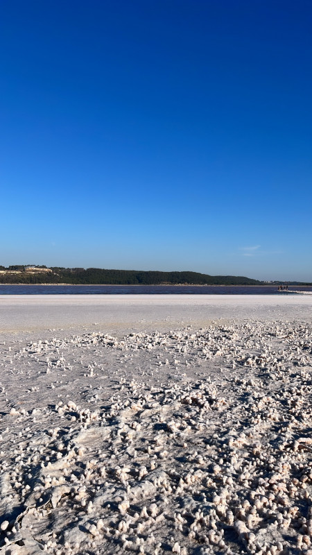 Guided discovery of the Lavalduc pond, history and evolution_Istres