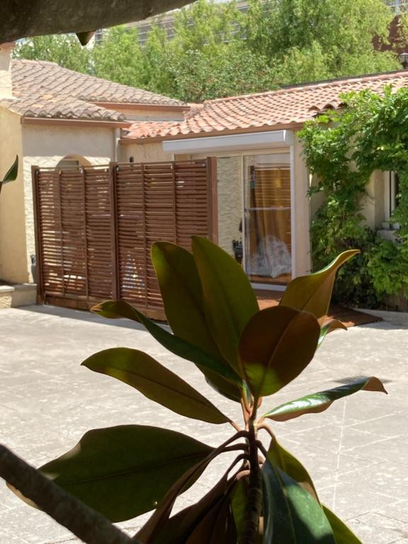 Capullo de jardín_Istres