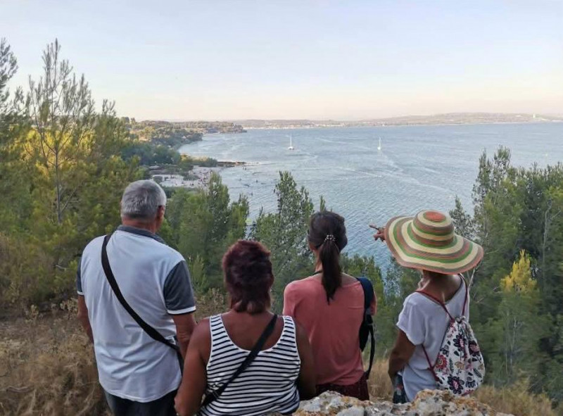 Balade connaissance de la flore méditerranéenne_Istres