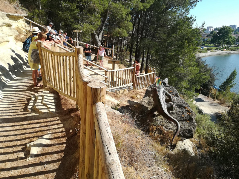 visite_les_secrets_des_dinosaures_dino_club_juillet_2022_ot_istres_9.jpg