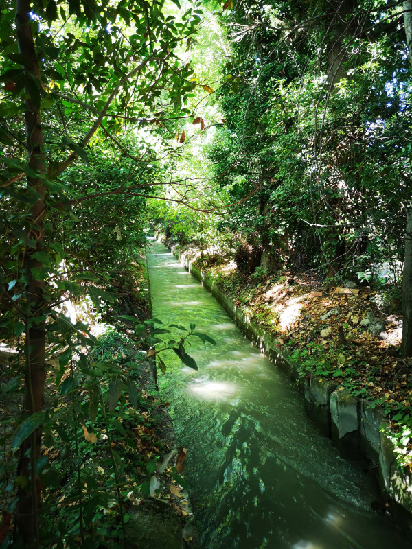 visite_foin_de_crau_2_office_de_tourisme_istres.jpg