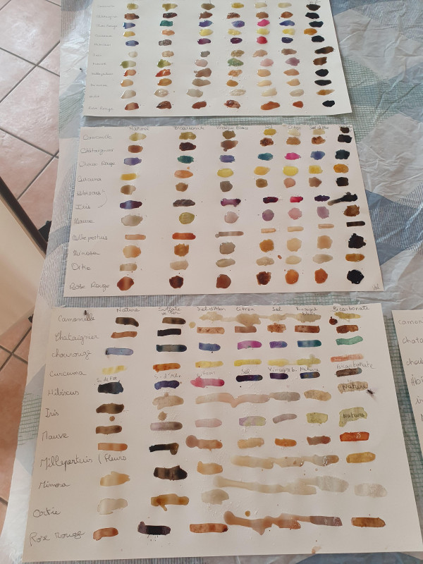 Atelier peinture végétale_Istres