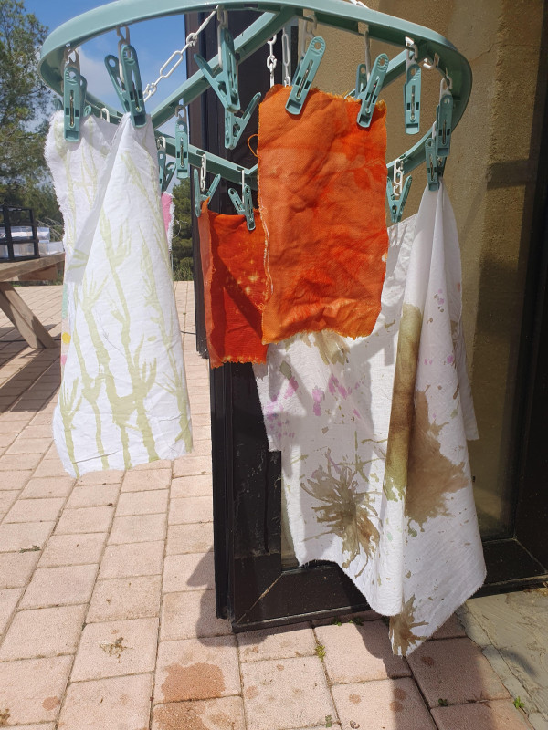 Atelier peinture végétale_Istres