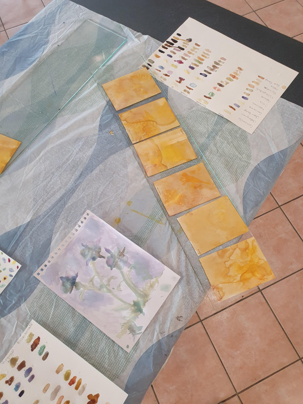 Atelier peinture végétale_Istres