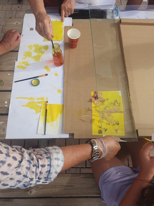 Atelier peinture végétale_Istres