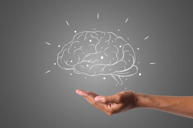 Exposition « Choyez votre cerveau ! _Istres