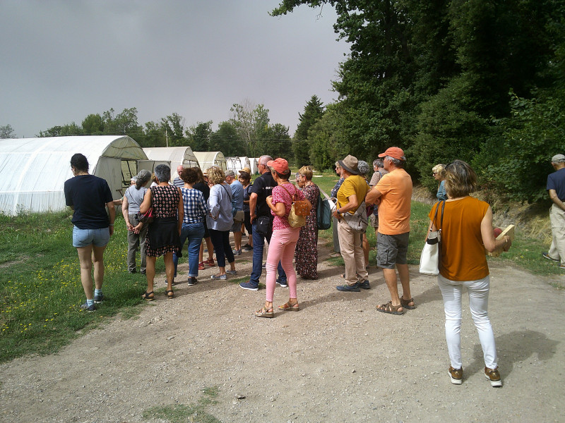 Vive l'automne ! Visite du domaine des 3B & Découverte des produits locaux_Istres