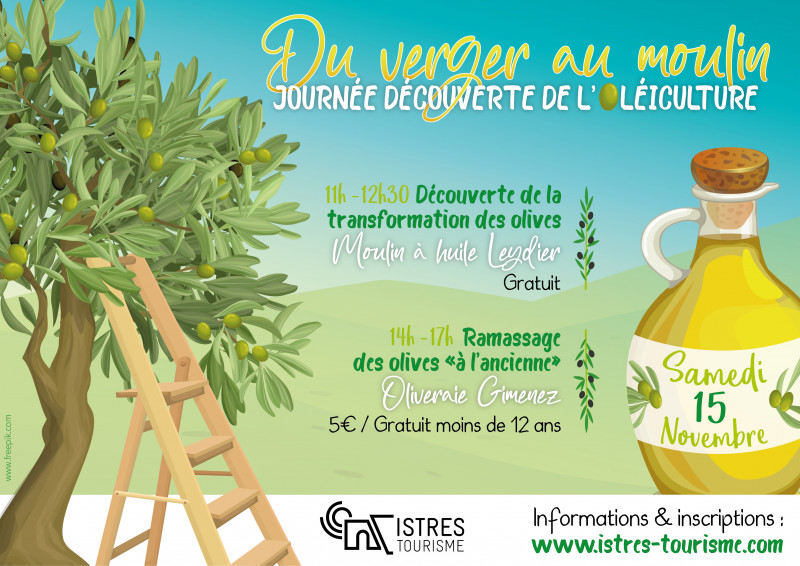 Découverte de la transformation des olives au Moulin à Huile Leydier_Istres Découverte de la transformation des olives au Moulin à Huile Leydier_Istres