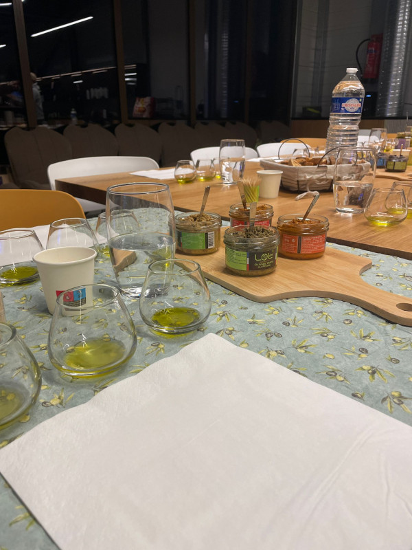 Découverte de la transformation des olives au Moulin à Huile Leydier_Istres