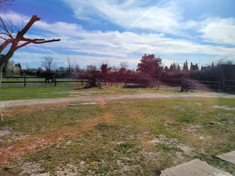 maswaly_6.jpg maswaly_6.jpg