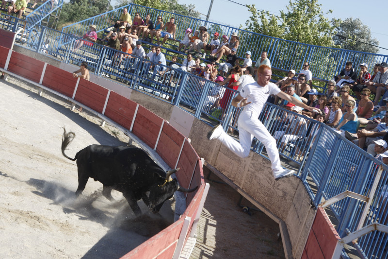 fete_d_entressen.jpg fete_d_entressen.jpg