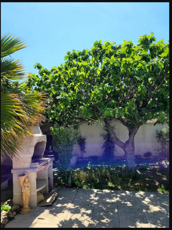 Maison de Jojo_Istres