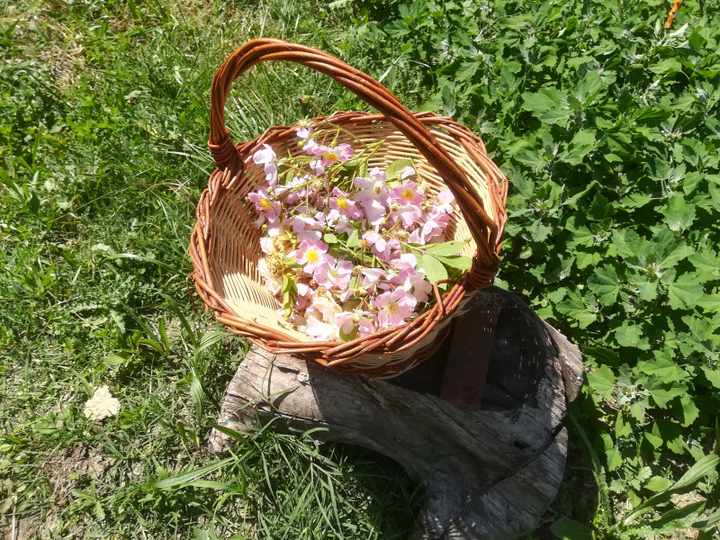 img_20210529_151022.jpg img_20210529_151022.jpg