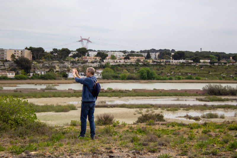 Éco-balade : Découverte des salins de Rassuen_Istres