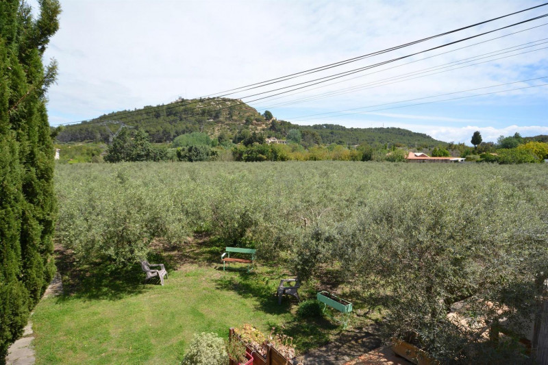Vue sur les champs d'oliviers Vue sur les champs d'oliviers