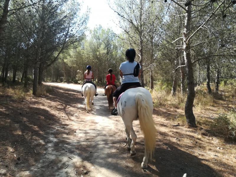 Matinée balade à cheval avec le Deven_Istres - © OT Istres Matinée balade à cheval avec le Deven_Istres