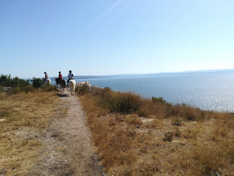 Matinée balade à cheval avec le Deven_Istres - © OT Istres Matinée balade à cheval avec le Deven_Istres