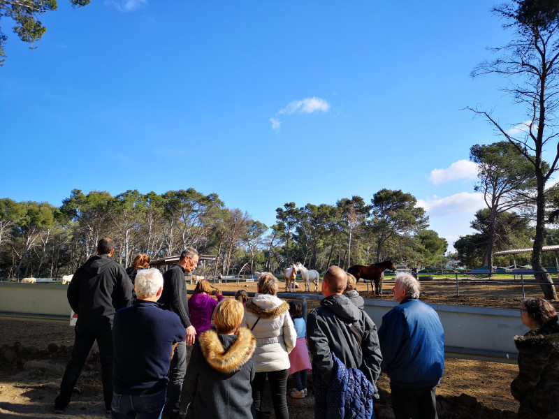 Visite du centre équestre Le Deven_Istres