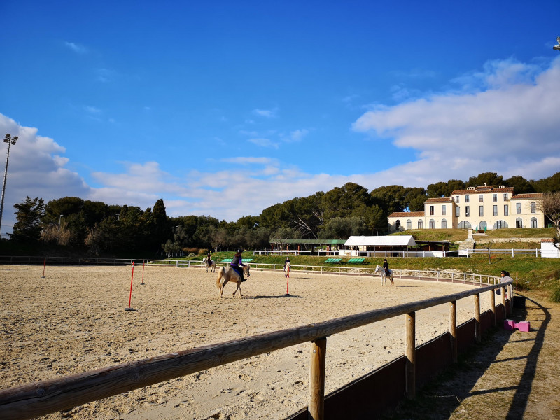 Visite du centre équestre Le Deven_Istres - © Office de tourisme d'Istres Visite du centre équestre Le Deven_Istres