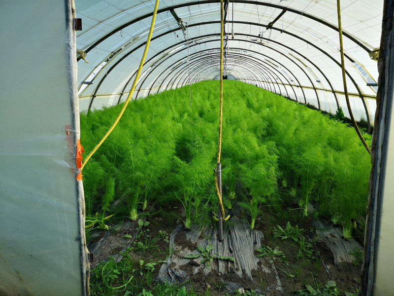 visite_domaine_des_3b_club_tourisme_2018_33.jpg visite_domaine_des_3b_club_tourisme_2018_33.jpg