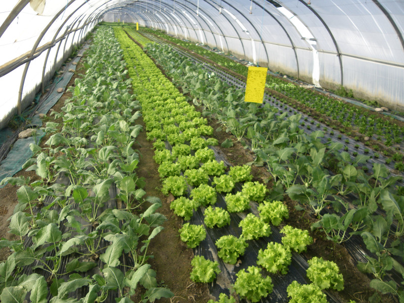 visite_domaine_des_3b_entressen_3.jpg visite_domaine_des_3b_entressen_3.jpg