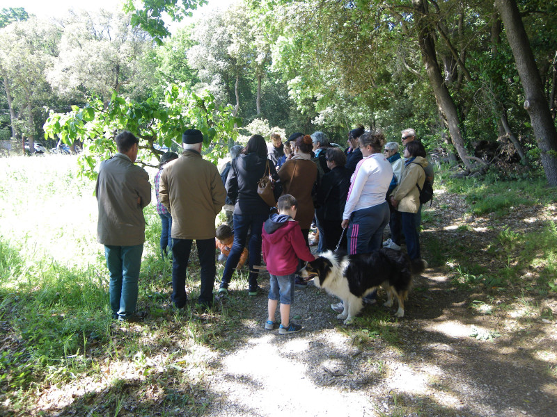 visite_domaine_des_3b_entressen.jpg visite_domaine_des_3b_entressen.jpg