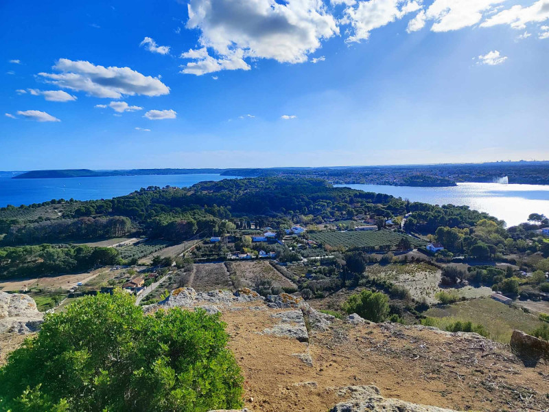 Découverte des plantes comestibles et médicinales sur la colline st-Étienne_Istres Découverte des plantes comestibles et médicinales sur la colline st-Étienne_Istres
